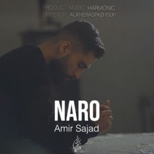 امیر سجاد آرگینی